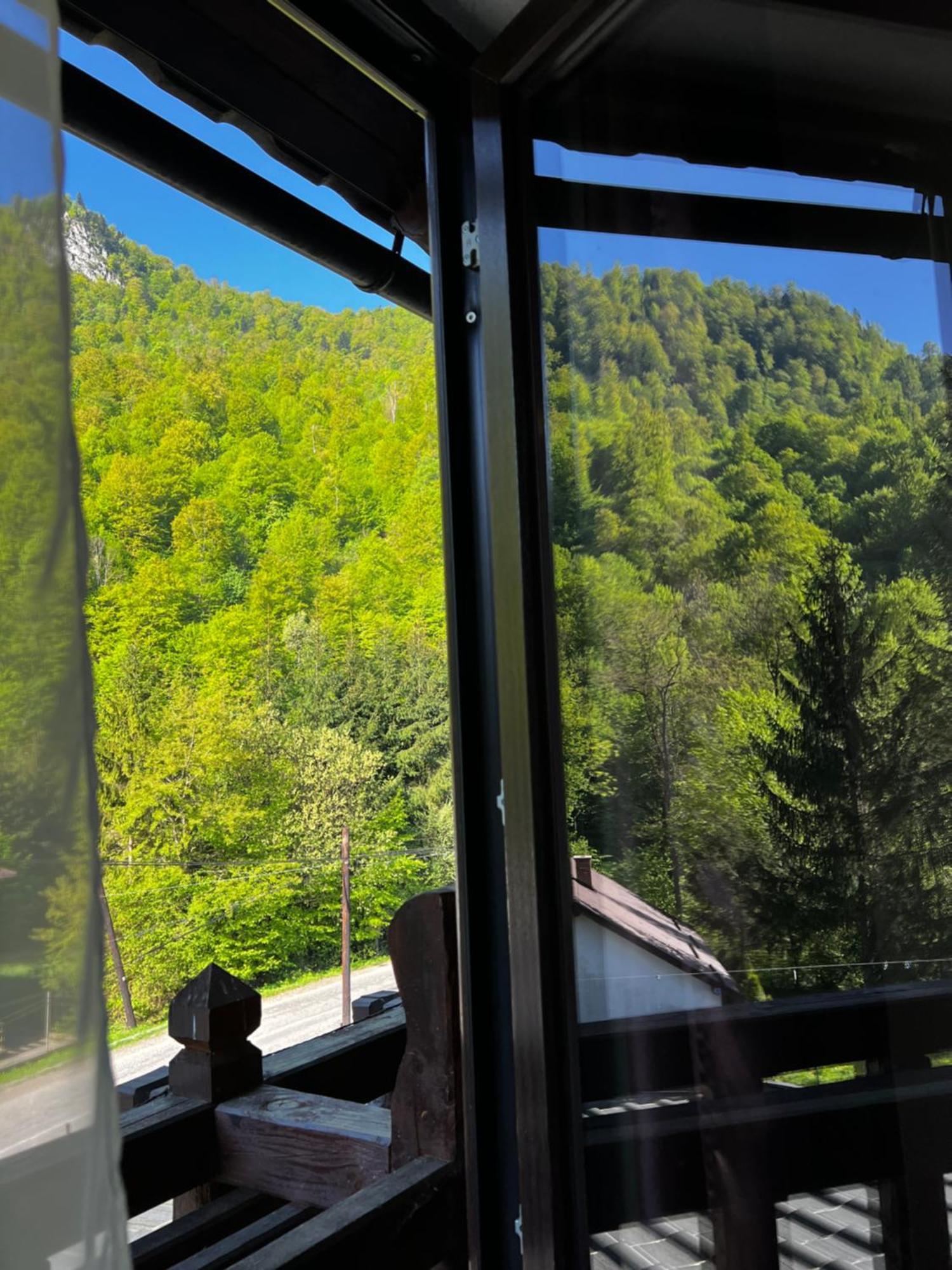 Pensiunea Roxana Valea Viseului Exterior foto